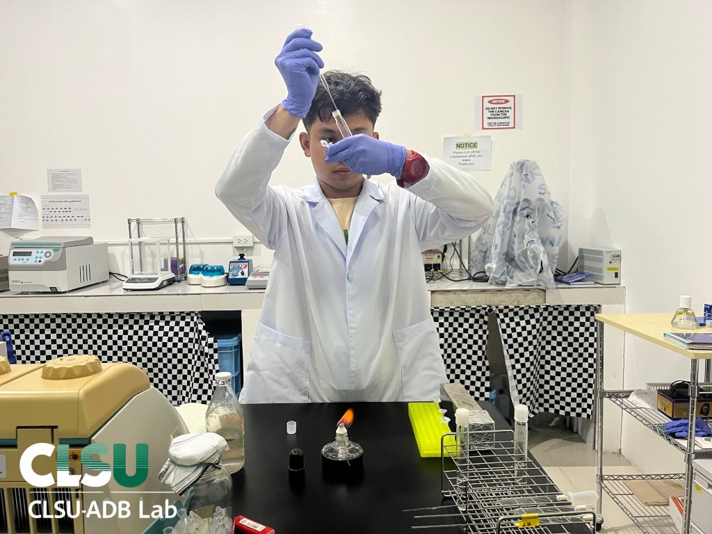 Researcher performing laboratory work at the CLSU-ADB Laboratory