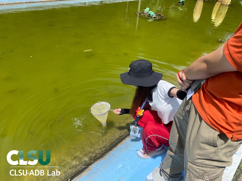 Immersion Program