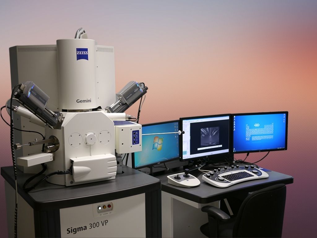 Scanning Electron Microscopy (SEM) Imaging